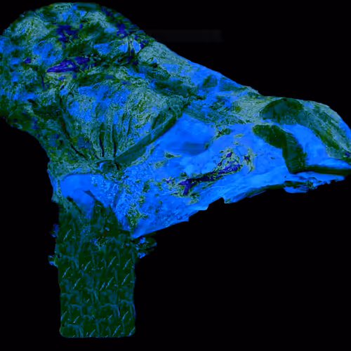 18063966590187803564983313972252836895288362682890717819958697129608162050049