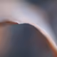 40278163781146387807919824223492945877750948775305722317404597054772328005633