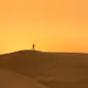 The Golden Walk