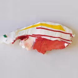 13773673914848060880493706407938151253713751468018043520626209043476199243777