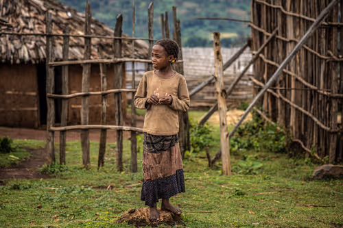 Item #50027882237522295676960542276708360859068113986169674979910834124108515508225 Media