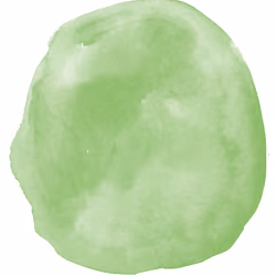 Rainbow Kombucha SCOBY - Green Apple