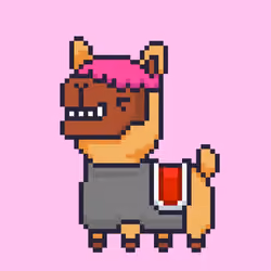 ALPACADABRA #1565