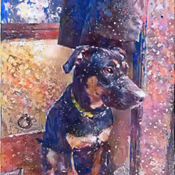 Loyal Dog