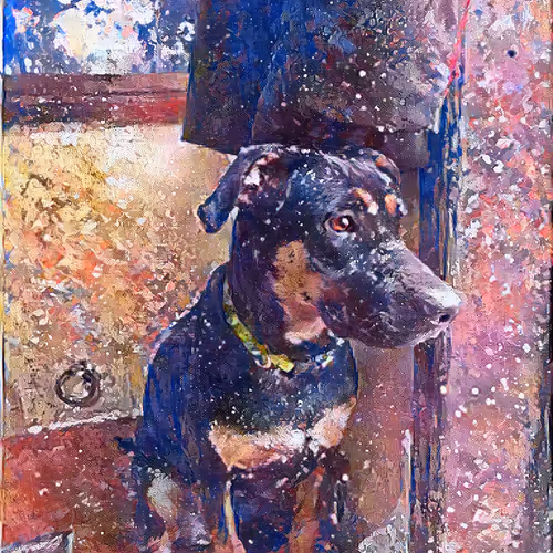 Loyal Dog