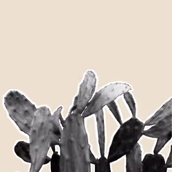 25379124807980713745219244606437574046087384809022650852355167122516028162049