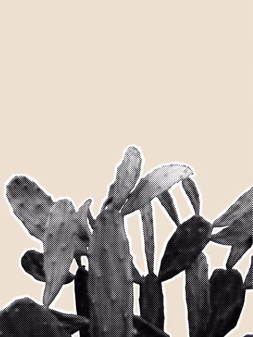 Item #25379124807980713745219244606437574046087384809022650852355167122516028162049 Media