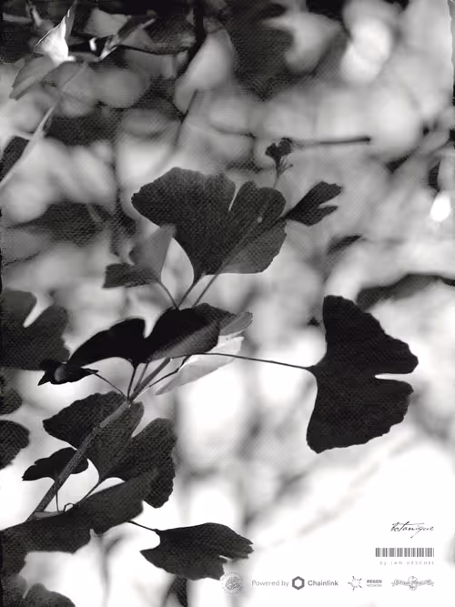 Item #67862288771501985065207433759225169411494342285282539462895293432042075717633 Media