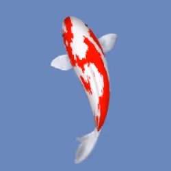 85890538515849146191794191908996501016024634704301377485849139776859716714497