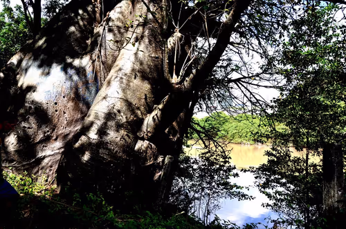 Item #79891436161549541429884862344900251113171213125295126698961100642765173161985 Media