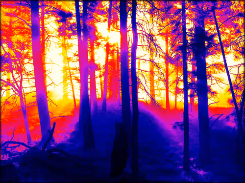 Item #68619026560193516405267034579072177316016002989638126605716032563256731107329 Media