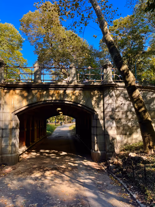 Item #33261409280827848890636833313665954217119010705453802455397167683286683615240 Media