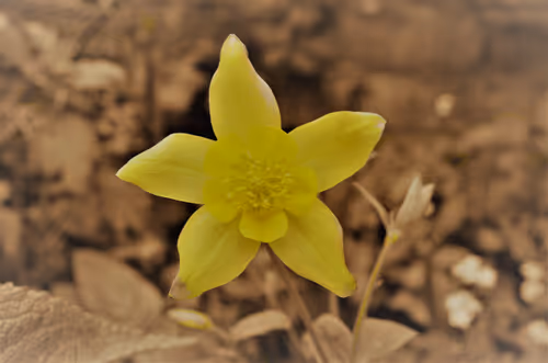 Item #14113791335687528049524506811384605239875640651691872103810466397716016529409 Media