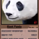 29794620023727816326169776907432812576666146443669256838517477447514745470977