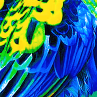 Item #86585853494938398317718510174695530516377728873853629516433170544884726104164 Media