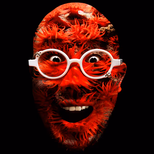 Item #90027293988038224220449632626584799523604618337544506490934228028745949642753 Media