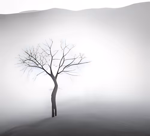 Item #26584738605176223090434173052627347330362742323321448247908135615400903704577 Media