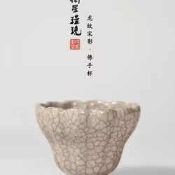 DCup Collection #181348081