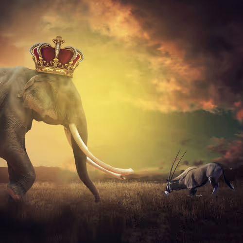 Item #4371761688002086981711680916923605272428721454504508963367284417625633849345 Media