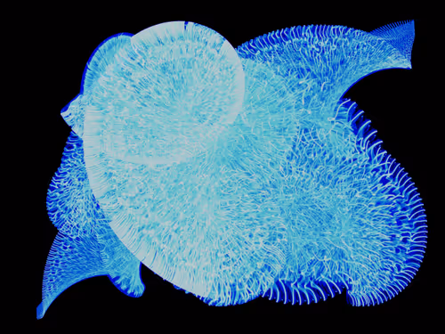 Item #45731211464929816441170859700976373292149702980452148839612469055661214269441 Media