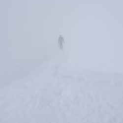 anymore / 彼岸