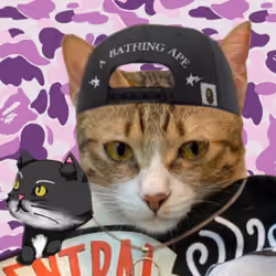chapoyaroibape