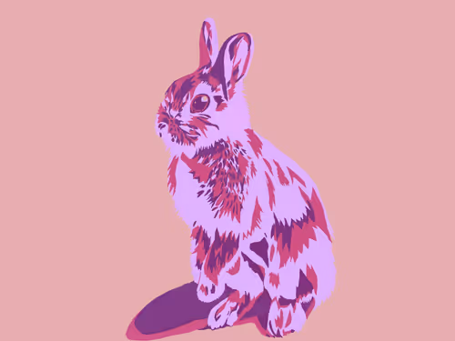 Item #86286569011672249143581902672238150923937334210812916089856769934964849377281 Media