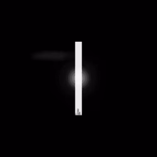 WeSA Festival 2022 NFF