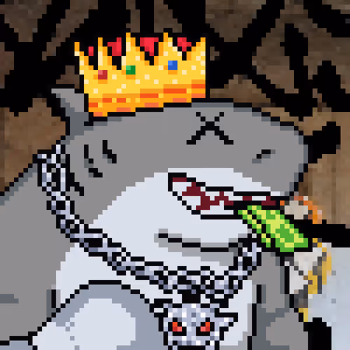 Shark Boy Gallery Edition