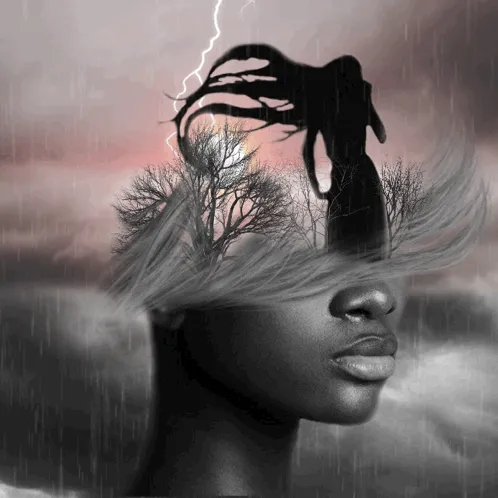 Item #44977390919060639513505607068705583876735982340724914493800311850588446916609 Media