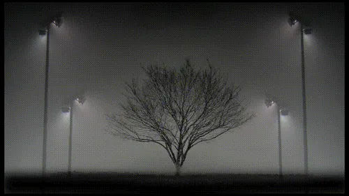 Item #7492014197175371295993437747185923975564654594515035294338329584894352556033 Media