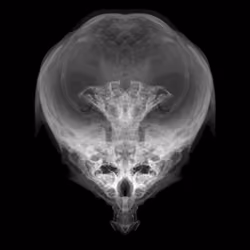Alien Embryo - 295 of 2000