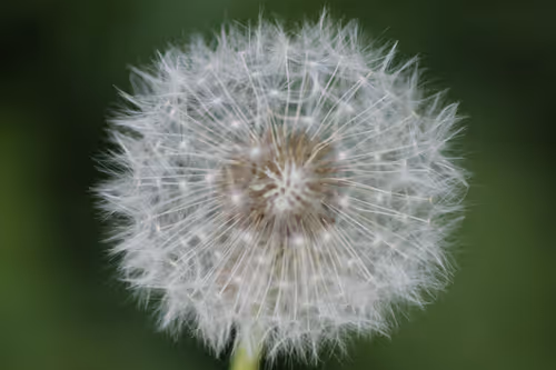 Item #51124555051901614330264480006545612592022390906904121289505624522826306289665 Media