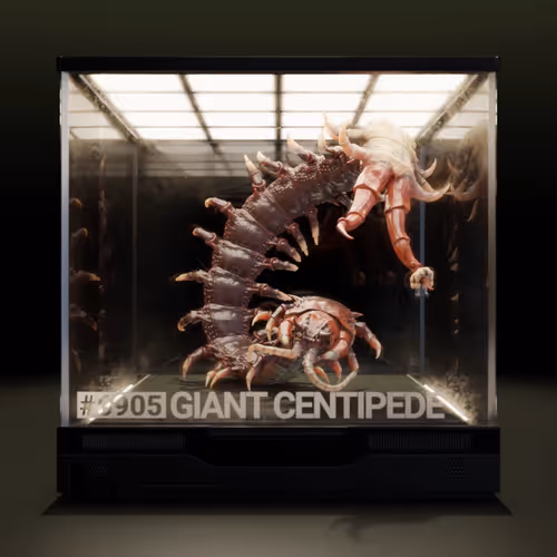 Item #67774356586734871155273017838130751279084647842925390812665102052417200979969 Media