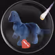 41776025324002017952572422073316458441069080831023694546850786170022408486913