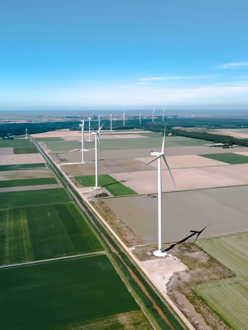 Item #3461261320663593426900354360876375017663922749216533272399435637830004506625 Media