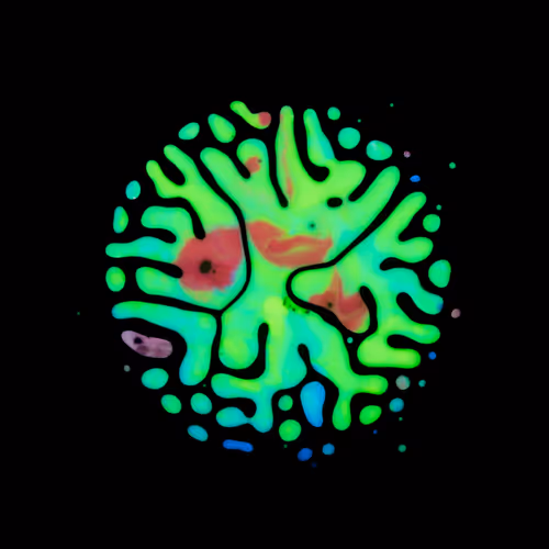 Item #39853347361311550538823328626004824816221754573894422864413753380268180242433 Media