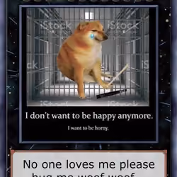 Pathetic Shiba