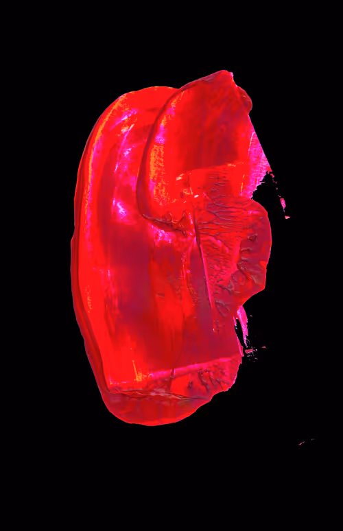 Item #20526999620302922840044707466191385135131666513838081449283783914050136571905 Media