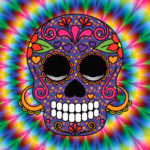 Item #54634478904034944682905599145550809038477309677259886737257195450938695876609 Media