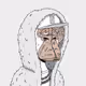 Ape EX