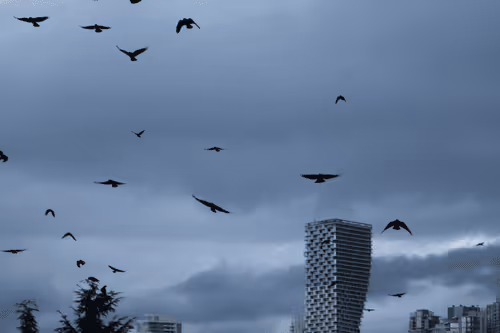 The ascendence of birds