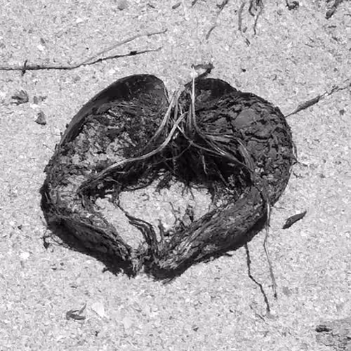 Nature's Heart