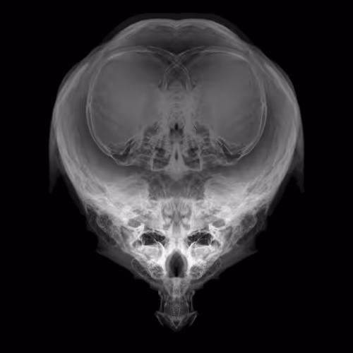 Item #85859191866638808365331437874953228966785819470149775310971061781573715099649 Media