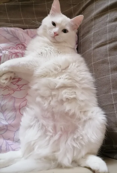 Item #763224073280193224173041358155125596503139434424356380946212153063551008769 Media