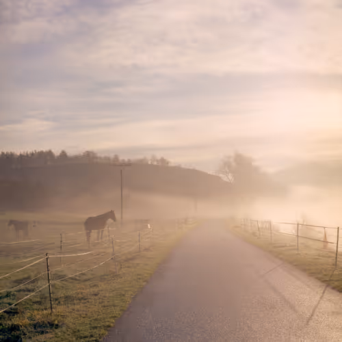 Item #30121090533068634730460792685537461567950127940617948076373458090365519134721 Media