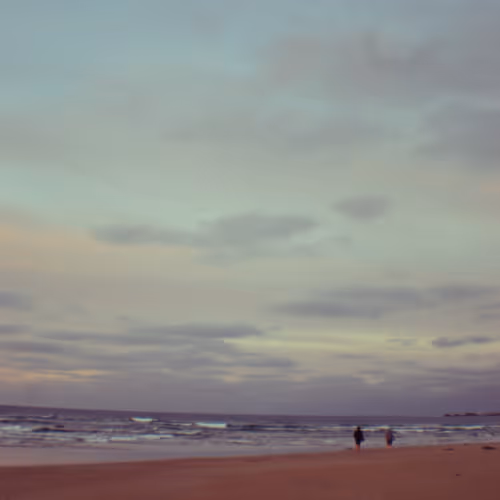 RoamingBrian13 Collection