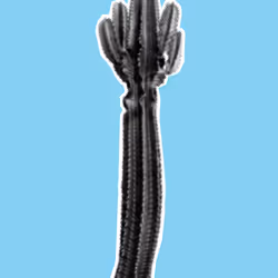 25379124807980713745219244606437574046087384809022650852355167135710167695361