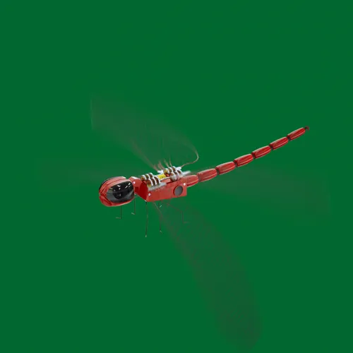 Item #59221695809999844932868241311026825972511777315967343673418626812340177207297 Media