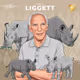 AFRICANWILDLIFE_NFT Collection